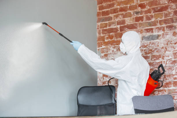 Best HVAC Mold Inspection and Cleaning  in Redland, AL