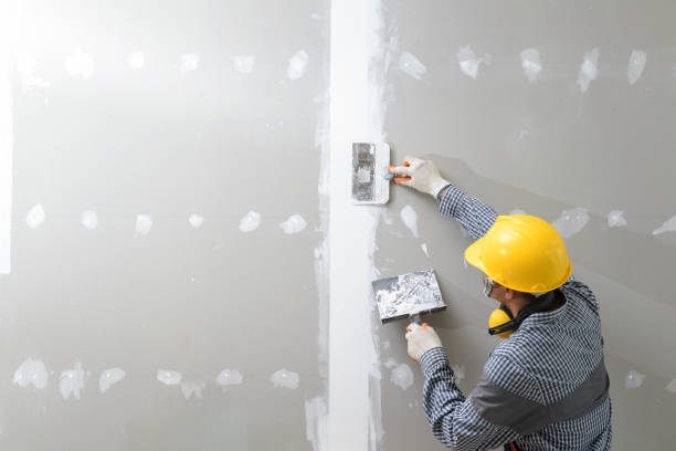 Forensic Mold Investigation in Redland, AL