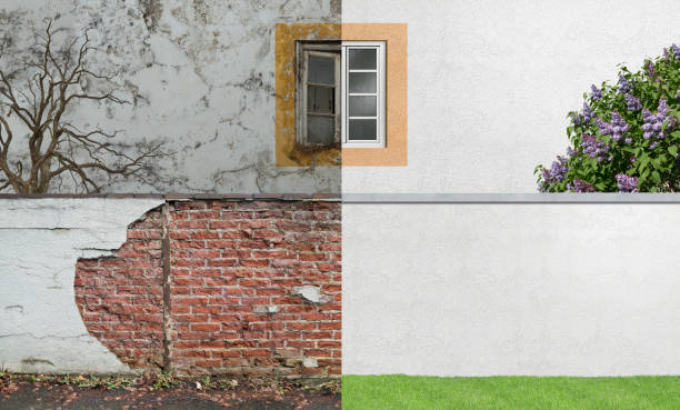 Best Mold Prevention Services  in Redland, AL